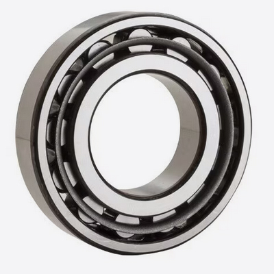 Nf210 Nachi Nf Cylindrical Roller Bearing - Material: Stainless Steel