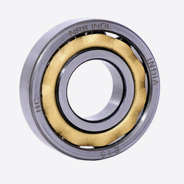 Magneto Bearing