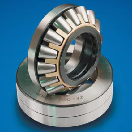 Zkl Spherical Roller Thrust Bearing - Material: Stainless Steel