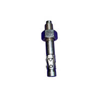SS 310 Grade Wedge Anchor Bolts