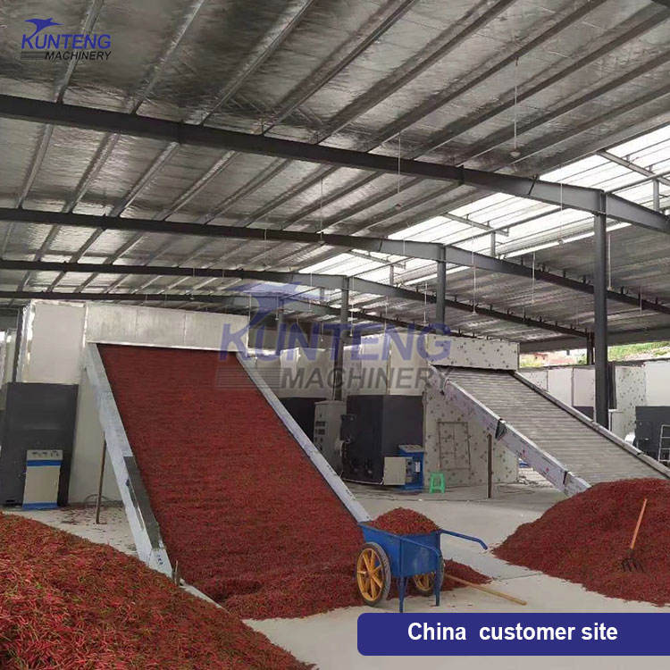Garlic Ginger Onion Pepper Dryer Chili Vegetable Drying Machine Equipment