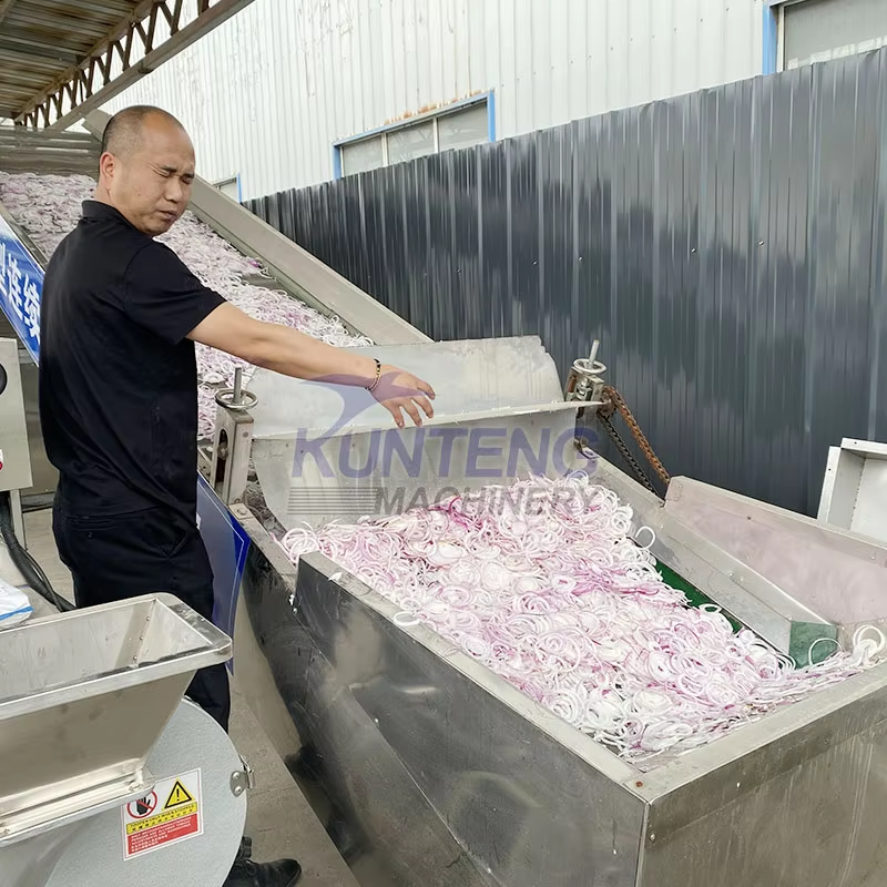 Garlic Ginger Onion Pepper Dryer Chili Vegetable Drying Machine Equipment