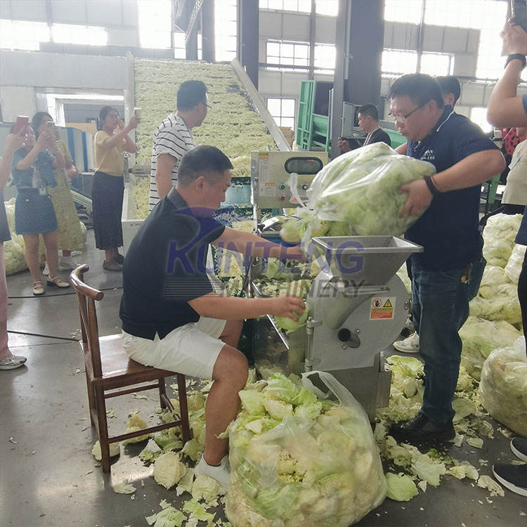 Garlic Ginger Onion Pepper Dryer Chili Vegetable Drying Machine Equipment