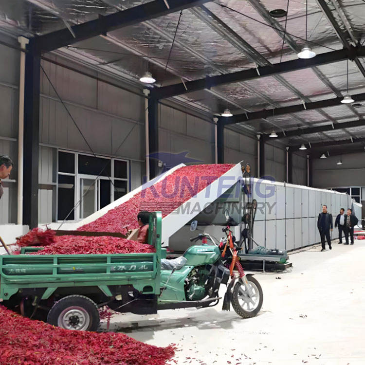 Continuous Vegetable Dehydrator Large Scale Chili Chili Pepper Dryer Industrial Red Chili Drying Equipment