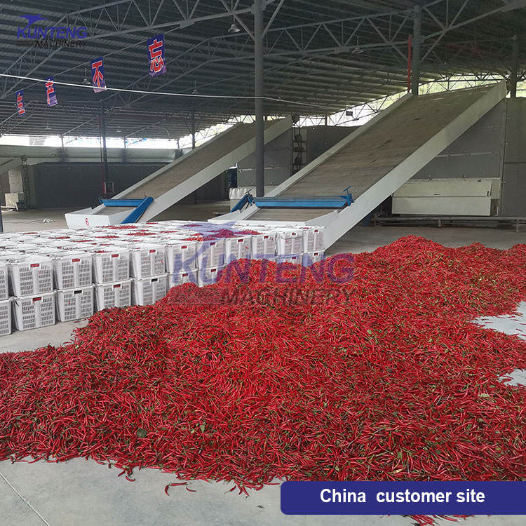 Continuous Vegetable Dehydrator Large Scale Chili Chili Pepper Dryer Industrial Red Chili Drying Equipment