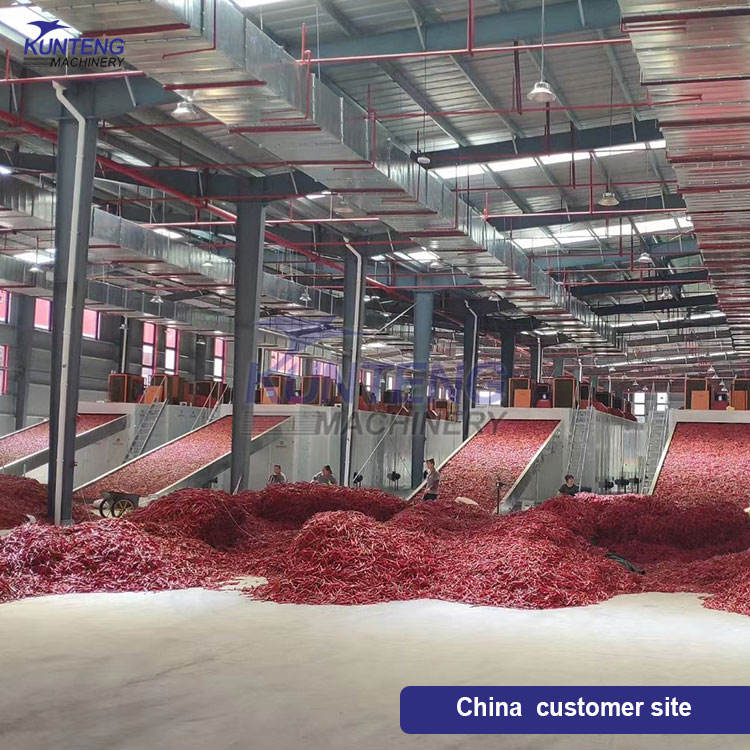 Continuous Vegetable Dehydrator Large Scale Chili Chili Pepper Dryer Industrial Red Chili Drying Equipment