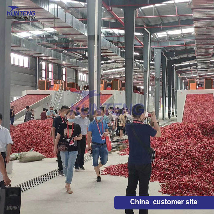 Continuous Vegetable Dehydrator Large Scale Chili Chili Pepper Dryer Industrial Red Chili Drying Equipment