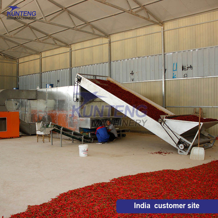 Continuous Vegetable Dehydrator Large Scale Chili Chili Pepper Dryer Industrial Red Chili Drying Equipment