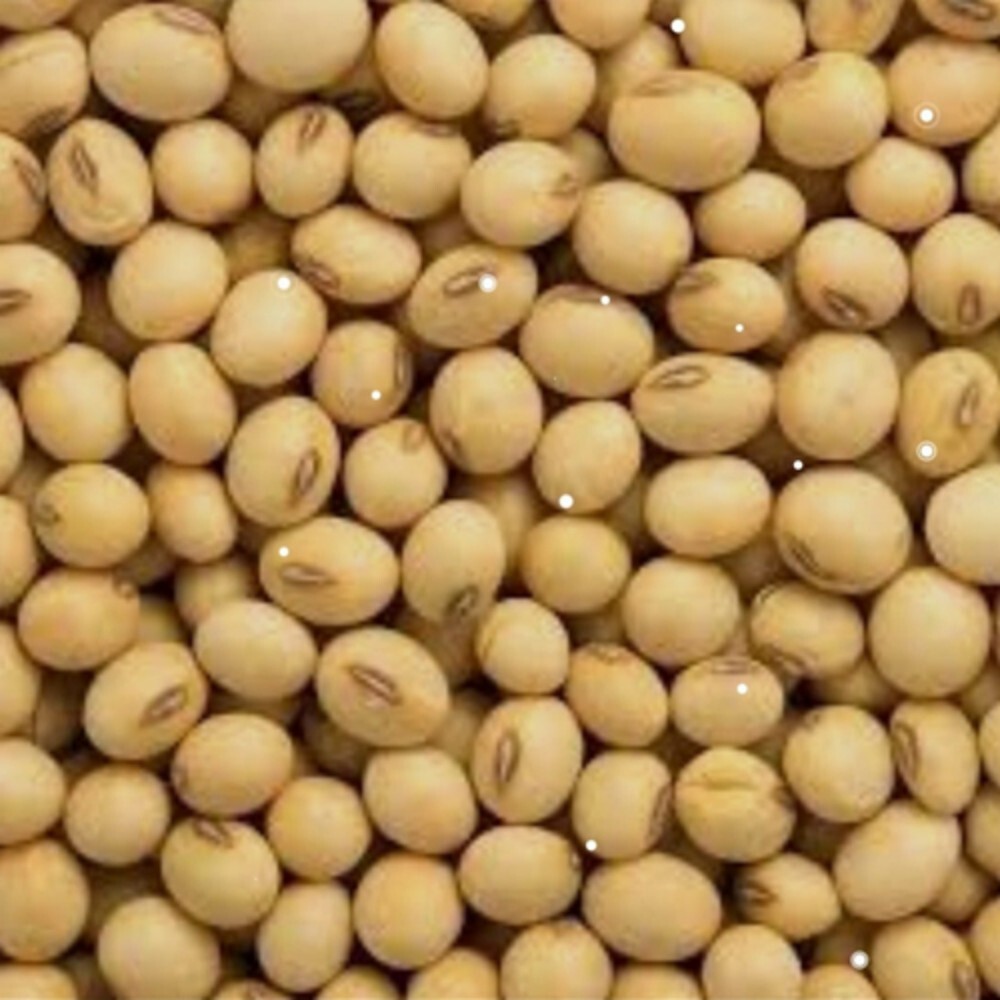 Roasted soya been