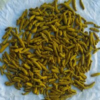 Turmeric Finger (fresh) - Color: Yellow