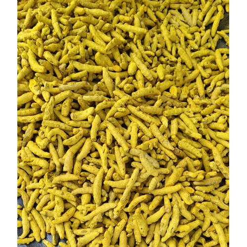 Turmeric Finger (fresh)