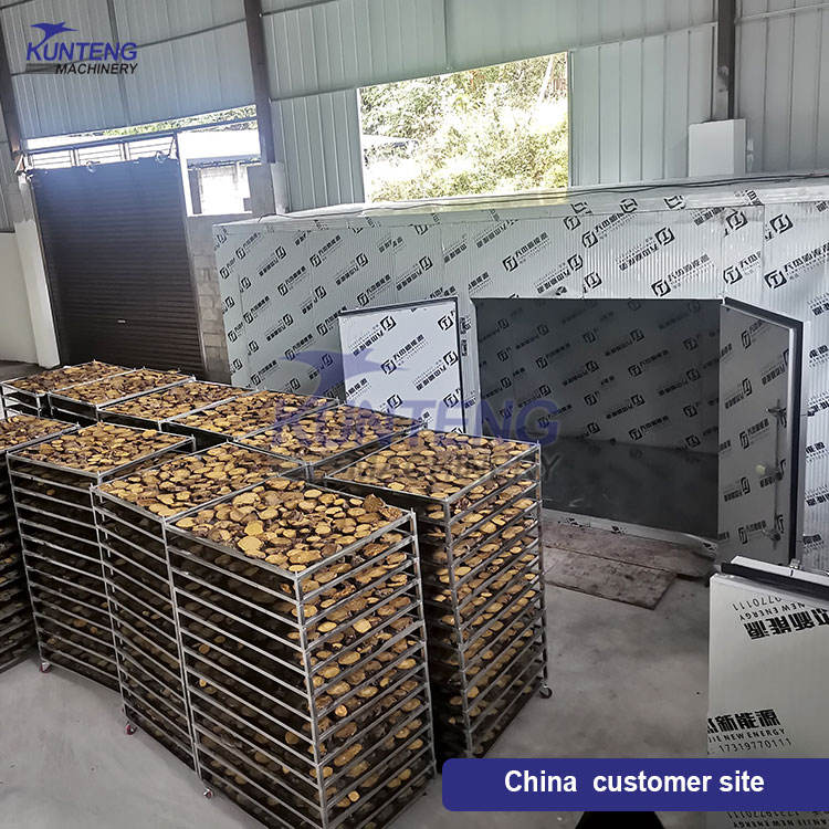 Energy-saving Fruits Drying Processing Line Strawberry Processing Drying Equipment - Feature: Low Noise