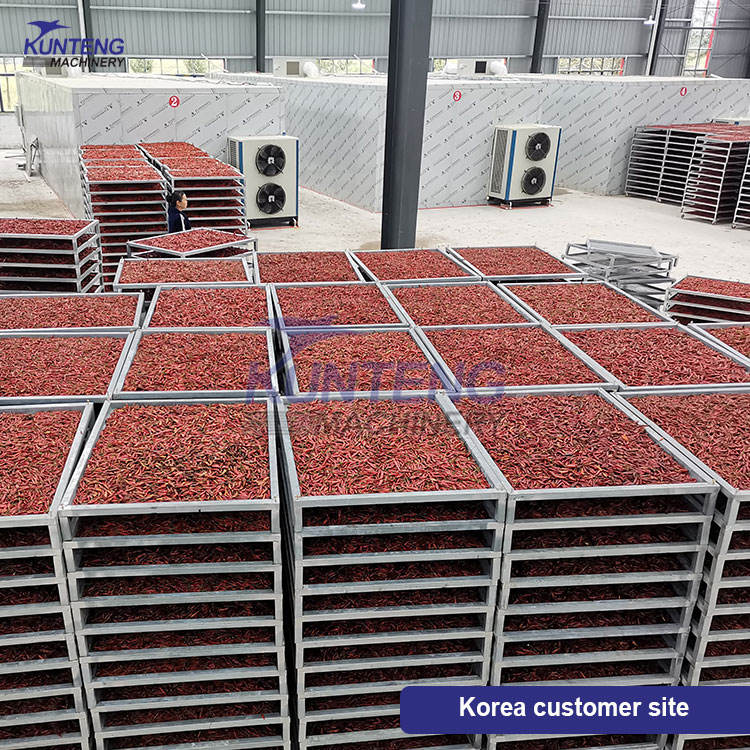 Energy-saving Fruits Drying Processing Line Strawberry Processing Drying Equipment - Feature: Low Noise