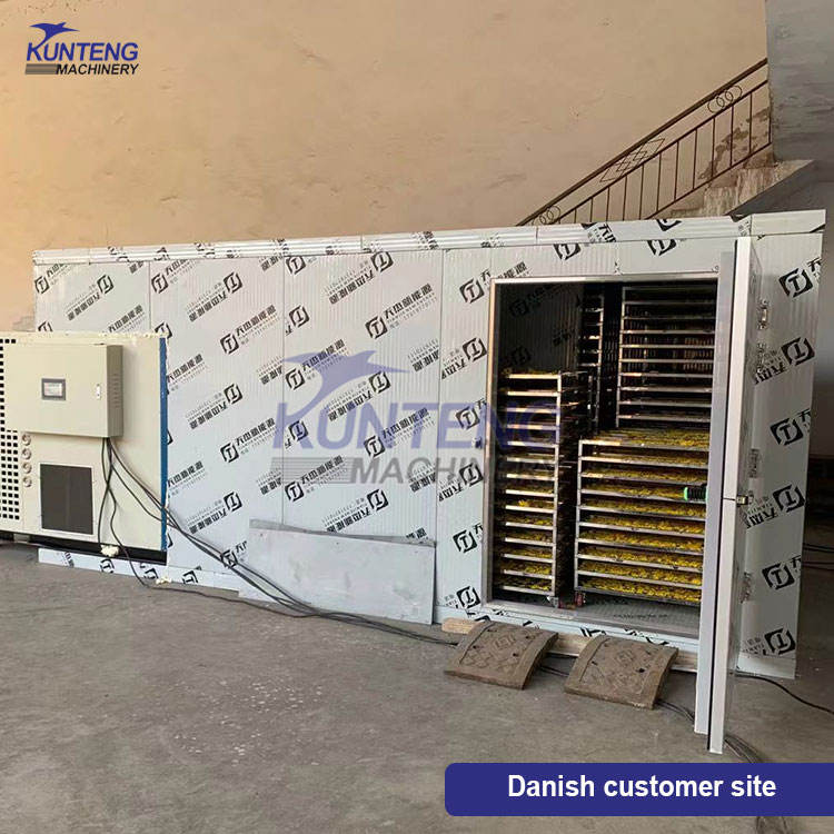 Energy-saving Fruits Drying Processing Line Strawberry Processing Drying Equipment