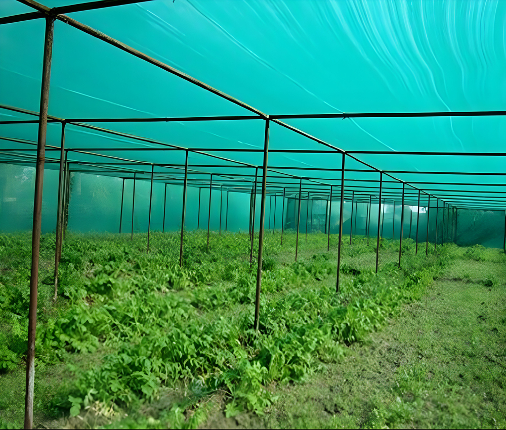Hdpe Plastic Shade Net - Color: Green