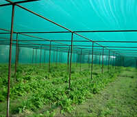 HDPE Plastic Shade Net