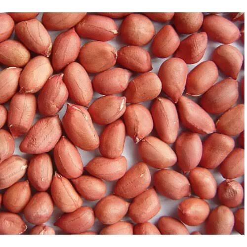 Ground Nut - Cultivation Type: Organic