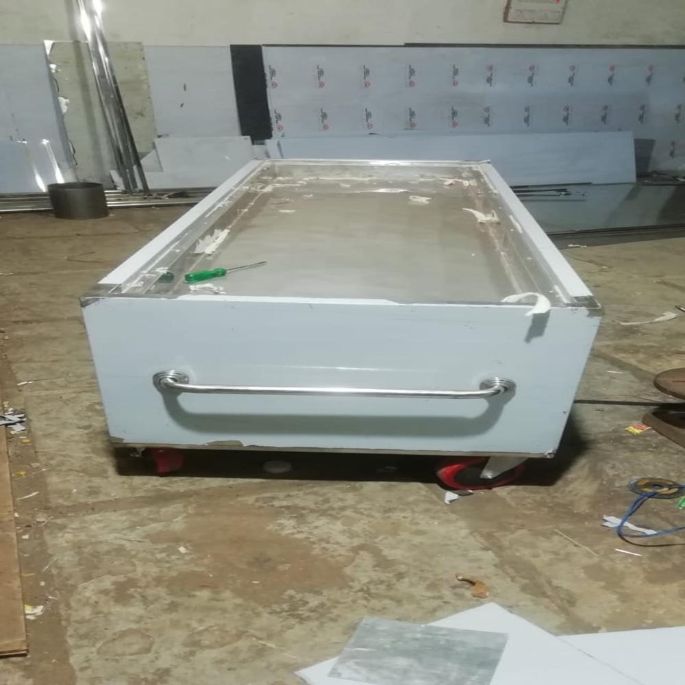 Dead Body Freezer - Light: Yes