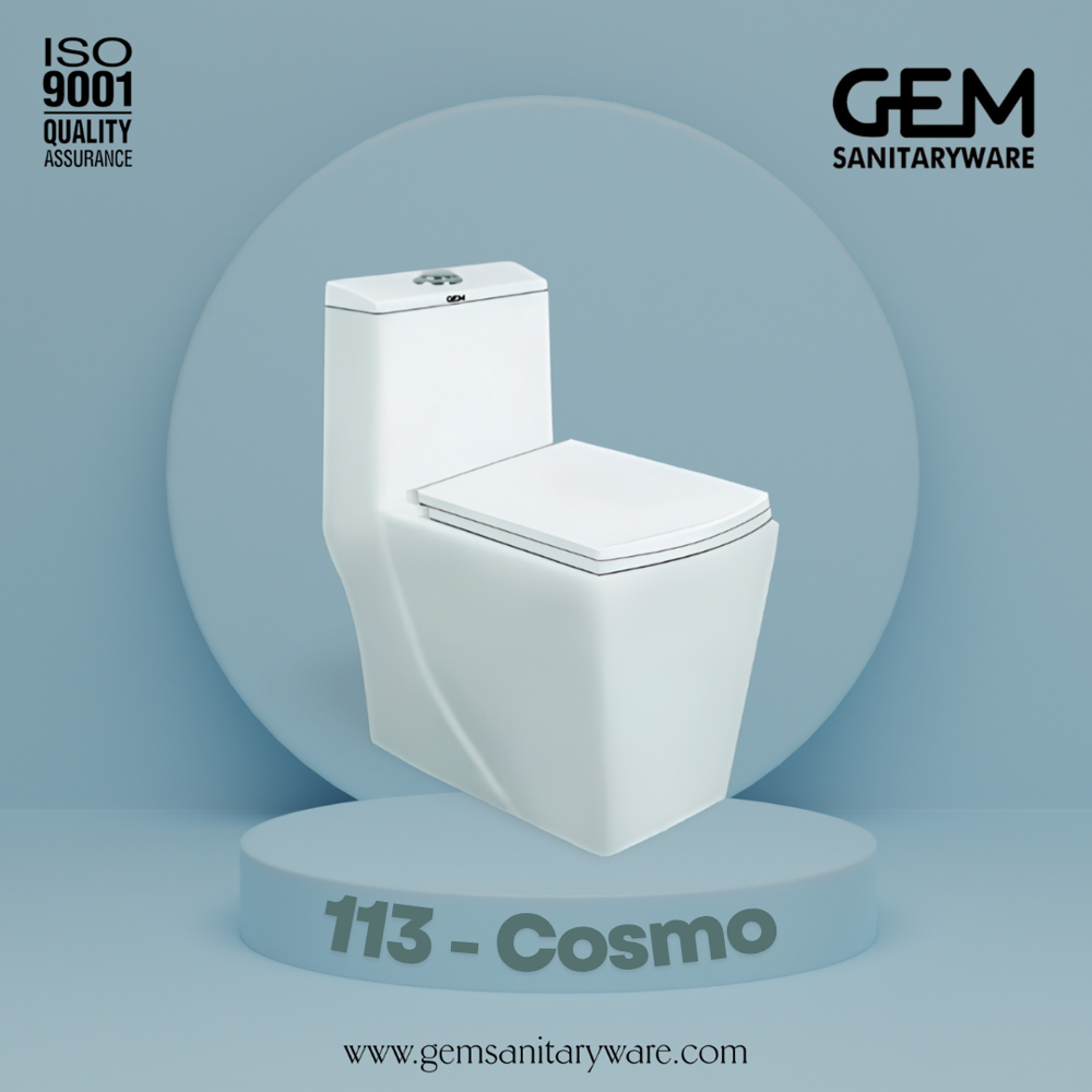 Cosmo One Piece Water Closet - Installation Type: Floor Mounted