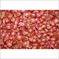 छोटी प्याज