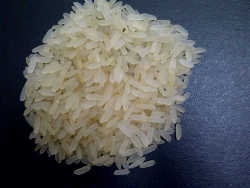 Premium Quality Raw Rice - Color: White