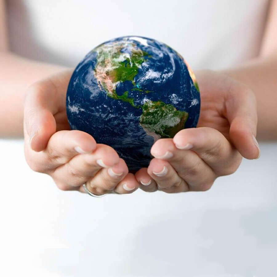 International Trade Service