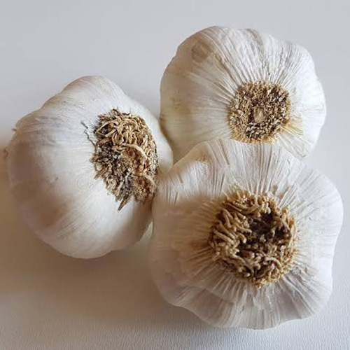 Fresh Garlic/Dehydrate Garlic - Moisture (%): Less