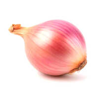 Fresh Onion
