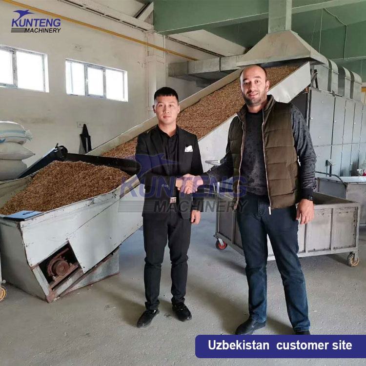 Automatic Industrial Ginger Mesh Belt Drying Equipment Yam Cassava Slice Drying Machine