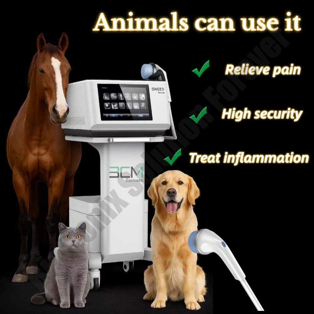 Imported Focused Shockwave Therapy Device for Orthopedic and Sports Medicine