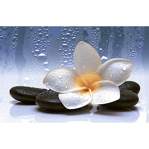 2421-HL-2 300x450 MM Waterpoof Glossy Finish Tile