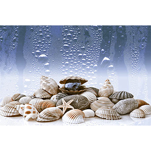 2421-HL-3 300x450 MM Waterpoof Glossy Finish Tile