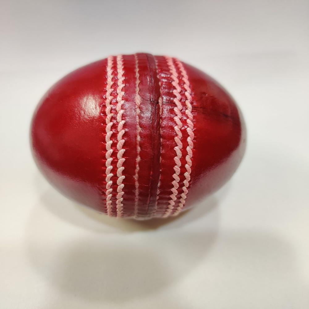Red Cricket Leather Ball