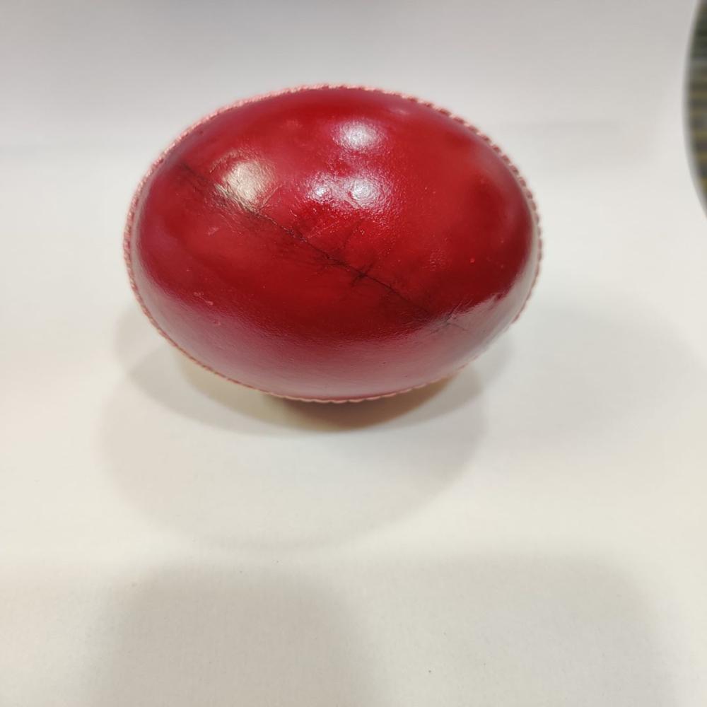 Red Cricket Leather Ball