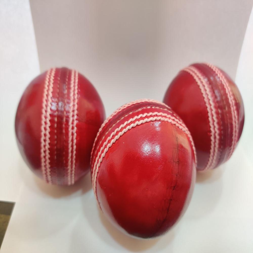 Red Cricket Leather Ball