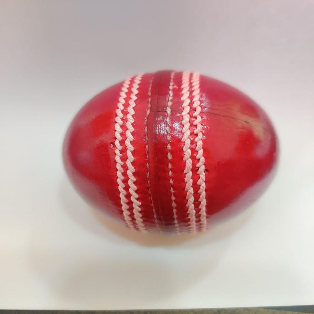 Red Cricket Leather Ball