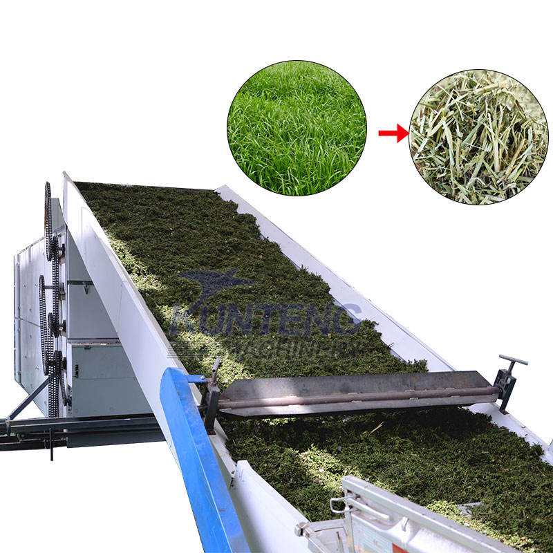 Cattail Grass Chain Drying Machine Grass Feed Mesh Belt Drying Equipment Timothy Grass Hay Large Drying Machine