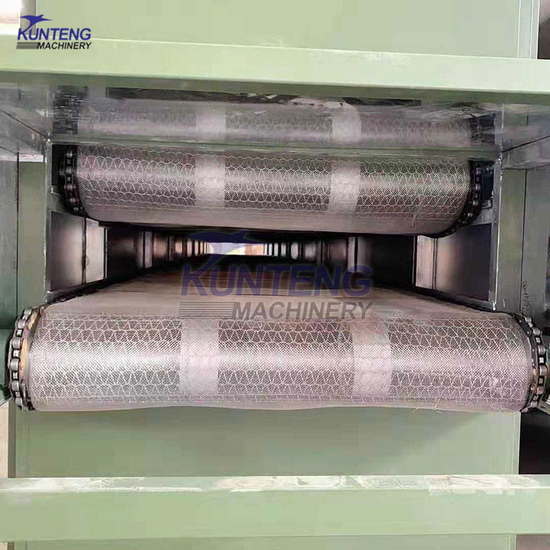 Automatic Fruits and Vegetables Dryer Machine Mesh Belt Food Drying Equipment