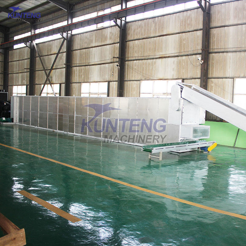 Automatic Fruits and Vegetables Dryer Machine Mesh Belt Food Drying Equipment