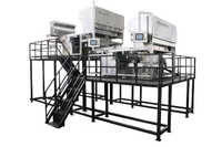 Belt Type Color Sorter