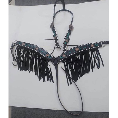 Luxury Western Headstall - Application: Horse Riding