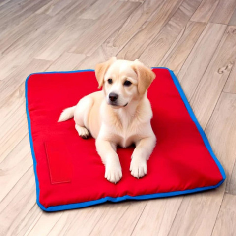 High Quality Large Size Luxury Pet Mat - Application: Dog