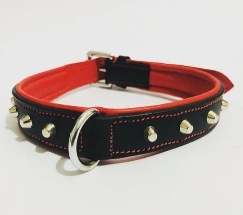 Italian Luxury Real  Leather Floral Dot Collar