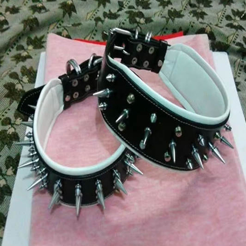 Personalized Leather Dog Collar