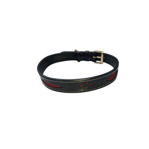 Luxury Dog Collar Leash