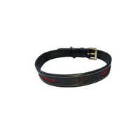 Luxury Dog Collar Leash - Color: As Per Availability