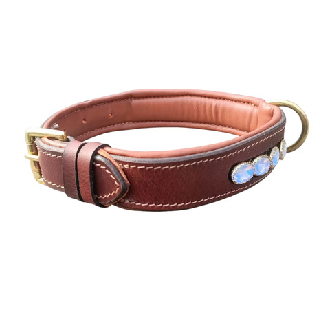 Luxury Adjustable Dog Collar