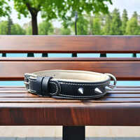 Medium Dog Collar - Color: As Per Availability