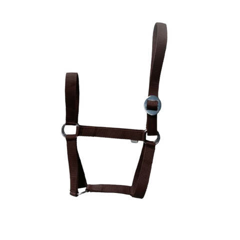Western Saddle Horse Workout Halter - Color: Various Available