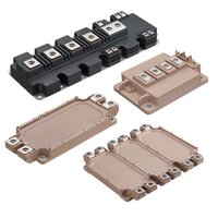 Igbt Module - Application: Power Electronics
